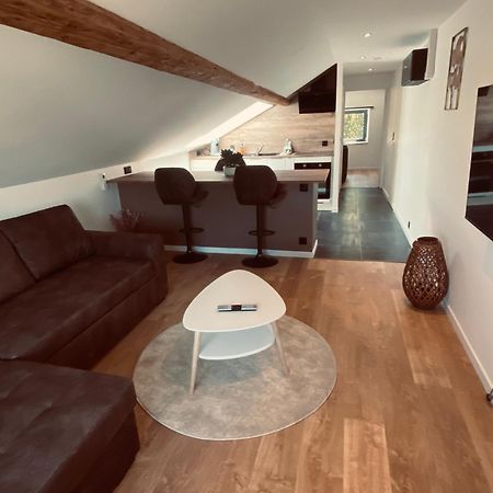 Scandinavian Appartement サン・タヴォル エクステリア 写真