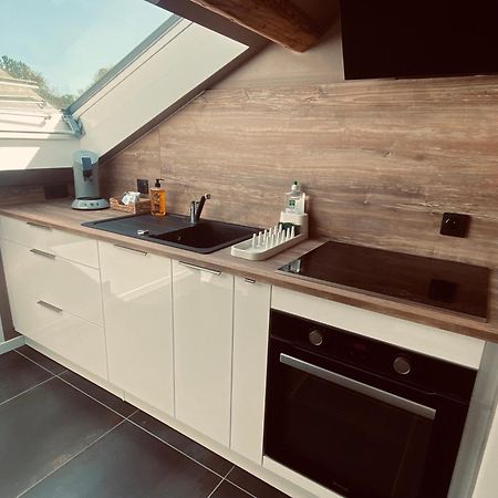 Scandinavian Appartement サン・タヴォル エクステリア 写真